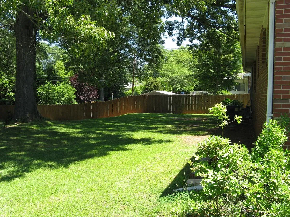 3 bed, 1.5 bath, 1438 sqft, $1,450 — Photo 3