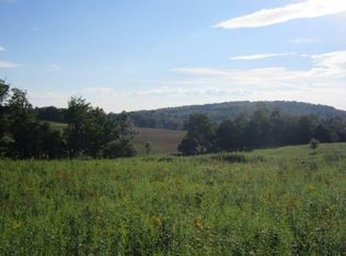 Carr Rd, Willet, NY 13863