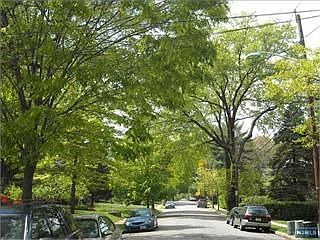 2nd image of 74 Copley Ave