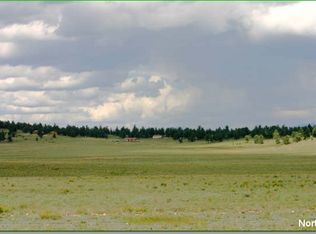 452 Chipita Trl, Hartsel, CO 80449