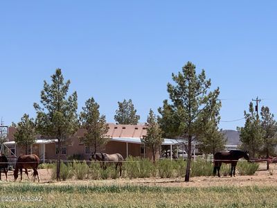 3515 W Gleeson Rd, Elfrida, AZ, 85610