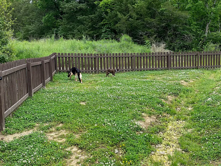 730 Old Hickory Blvd — Photo 22