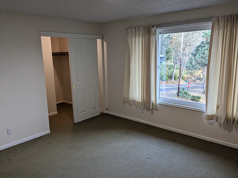 3310 Olive St #3310 — Photo 16