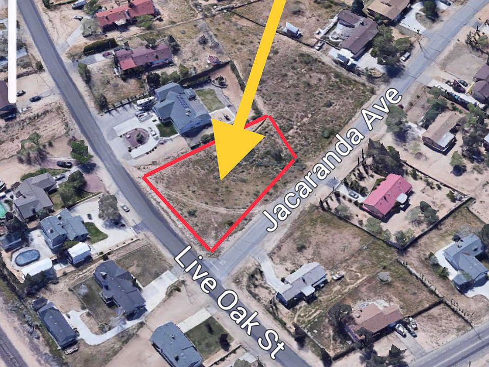 2nd image of Jacaranda Ave