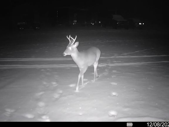 5th image of 4798 W Temperance Rd