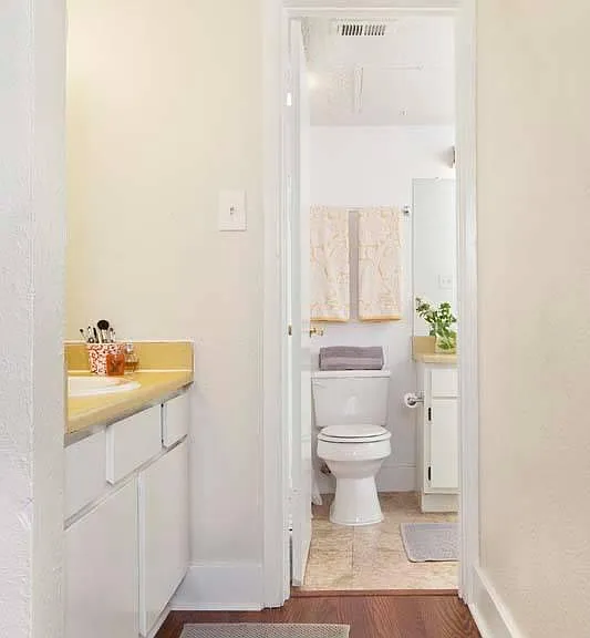 Large 1/1 bathroom (standard)