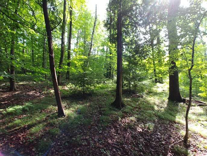 1st image of Lot # 4 Heavenwood Hls