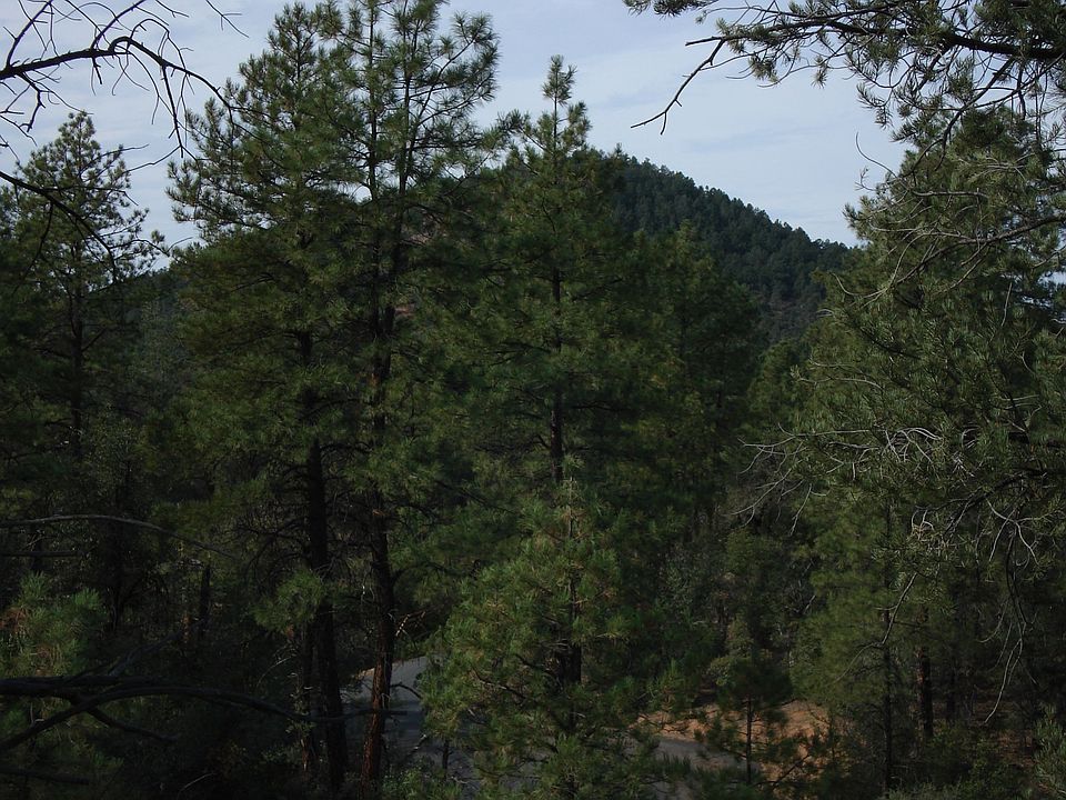 2nd image of 913 S Monument Valley Dr #155