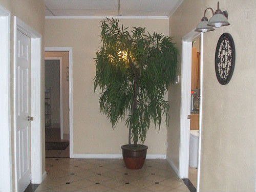 5th image of 6024 San Juan Ave Ste E