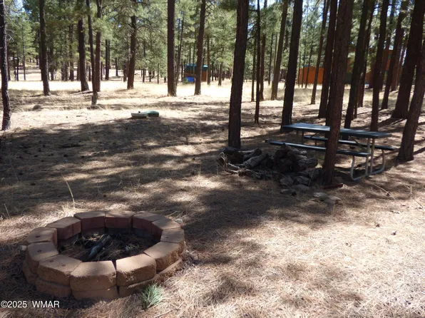 16 County Road 2087, Alpine, AZ 85920
