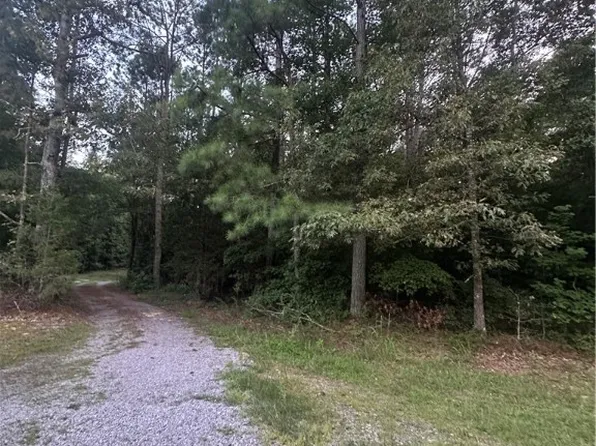 0 Loco School Rd #4A, Stony Creek, VA 23882