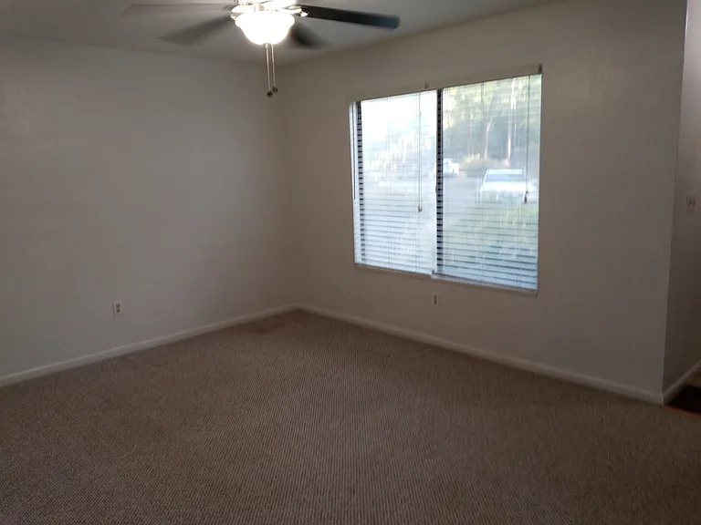 4410 Black Forest Way — Photo 9