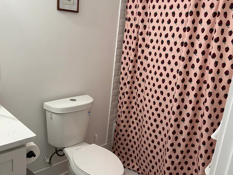 2510 Cascadilla St — Photo 44