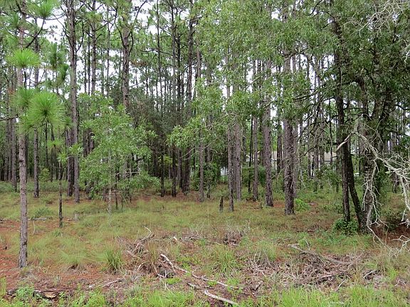 2nd image of Lot 3 Shelby Road LOT 3