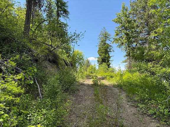 17th image of 3774C Daisy Mine Rd