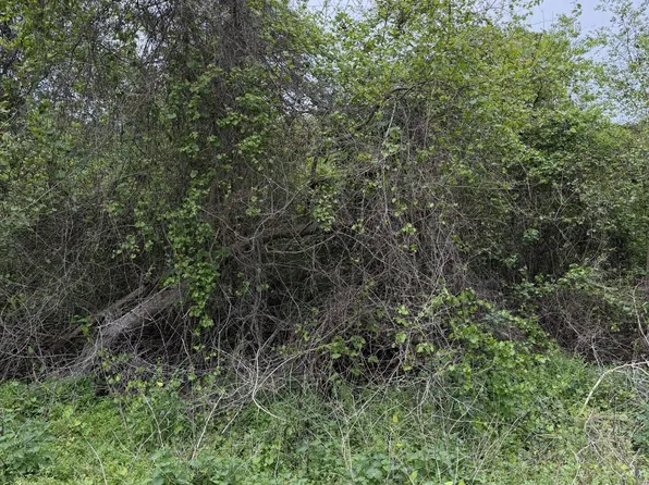 104 KERRY Drive, Satsuma, FL 32189