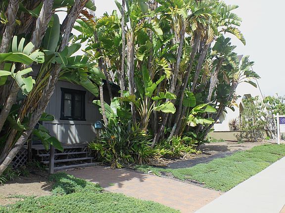 4th image of 611 Jasmine Ave