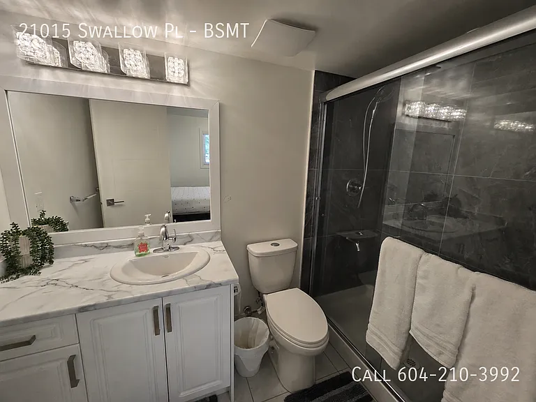 21015 Swallow Pl #BASEMENT — Photo 9