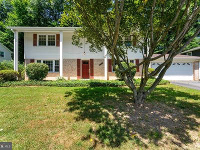 7016 Cottontail Ct, Springfield, VA, 22153
