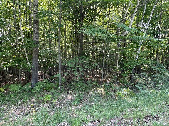 3rd image of Whispering Pines Dr