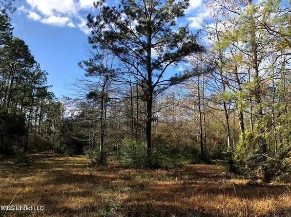 15407 Old Highway 15, Diberville, MS 39540