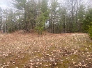 LOT 514 Tall Pines Dr, Tiny, ON L9M0H4