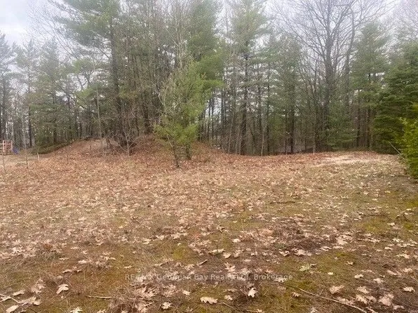 LOT 514 Tall Pines Dr, Tiny, ON L9M 0H4