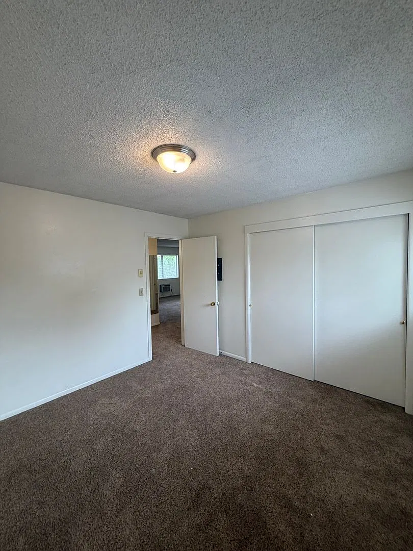 Potter Drive — Photo 4