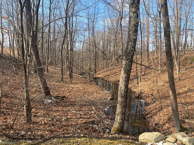 17A Silver Lake Rd, Blairstown, NJ 07825 MLS 3816251 Zillow