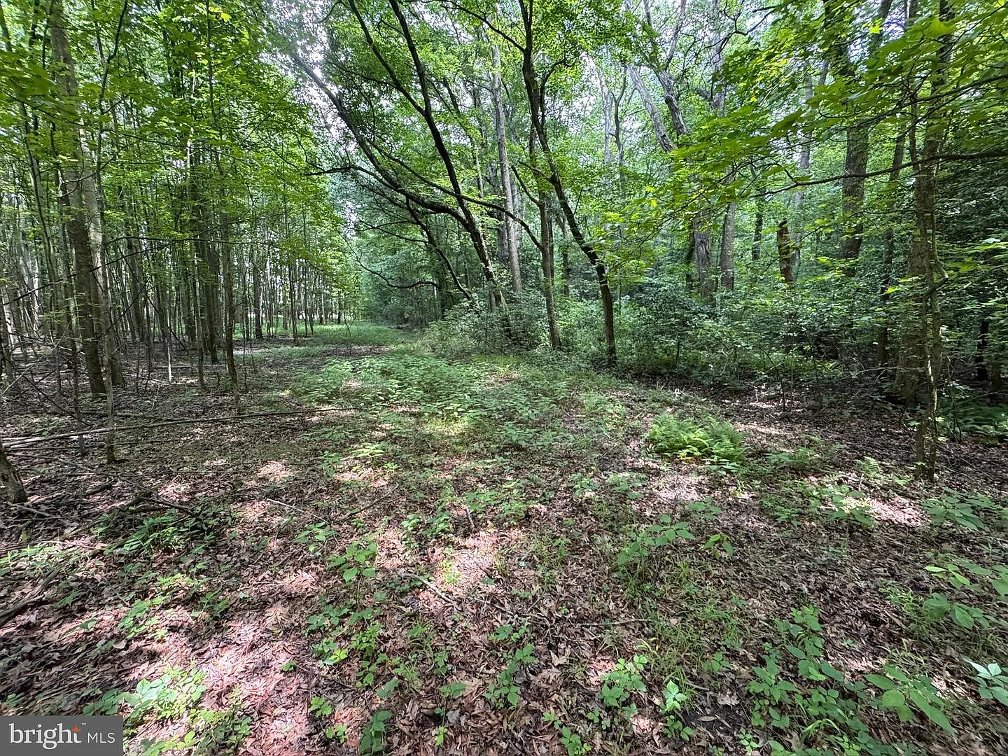 Trunk Line Rd photo 1