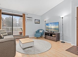 300 Shelard Pkwy UNIT 303, Saint Louis Park, MN 55426