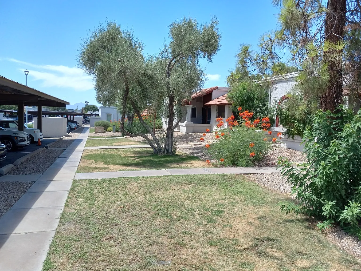 2 bed, 965 sqft, $1,490 — Photo 3