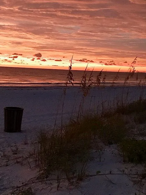 111 12th Ave #UPPER