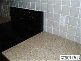 4th image of 1020 Dove Meadows Dr