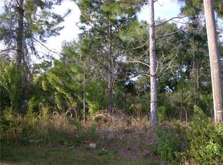 119 Aurora Ln, Kissimmee, FL 34758