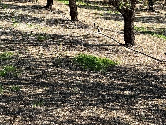 5th image of 6009 S Whitworth Rd