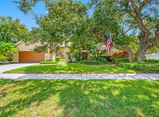 1100 Bramblewood Dr, Safety Harbor, FL 34695