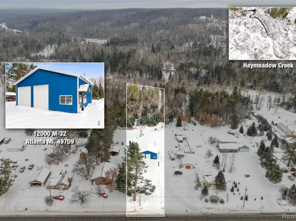 12000 M 32, Atlanta, MI 49709