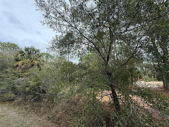 4th image of 9545 N DAWNFLOWER AVENUE