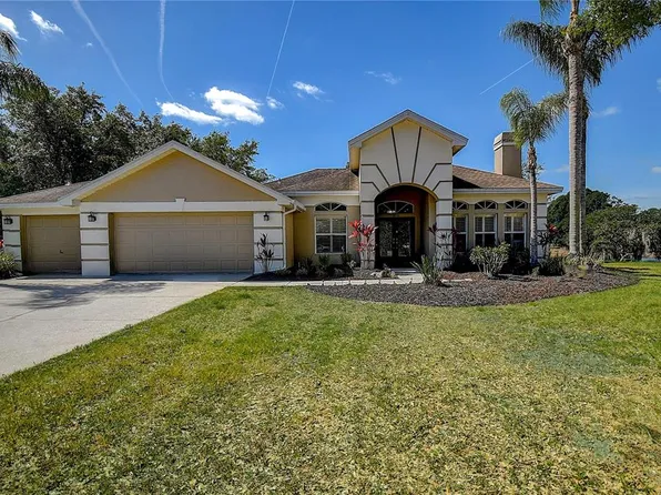 18702 Forest Glen Ct, Tampa, FL 33647