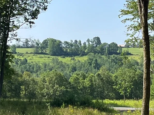 0 Lilley Hill Rd, Unadilla, NY 13849