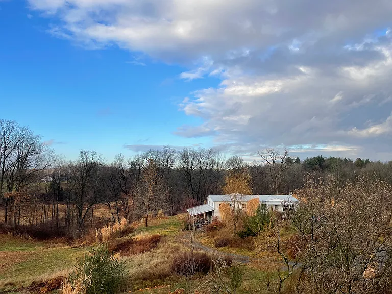 Late Fall Scene
