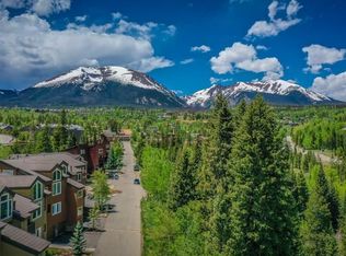 4010 Silverheels Dr #1, Silverthorne, CO 80498