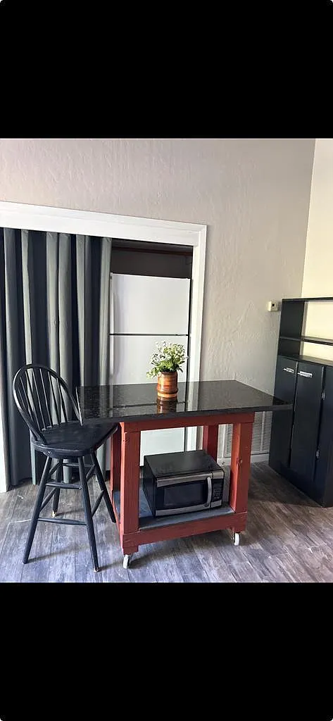 1 bed, 1.0 bath, 480 sqft, $1,200 — Photo 4