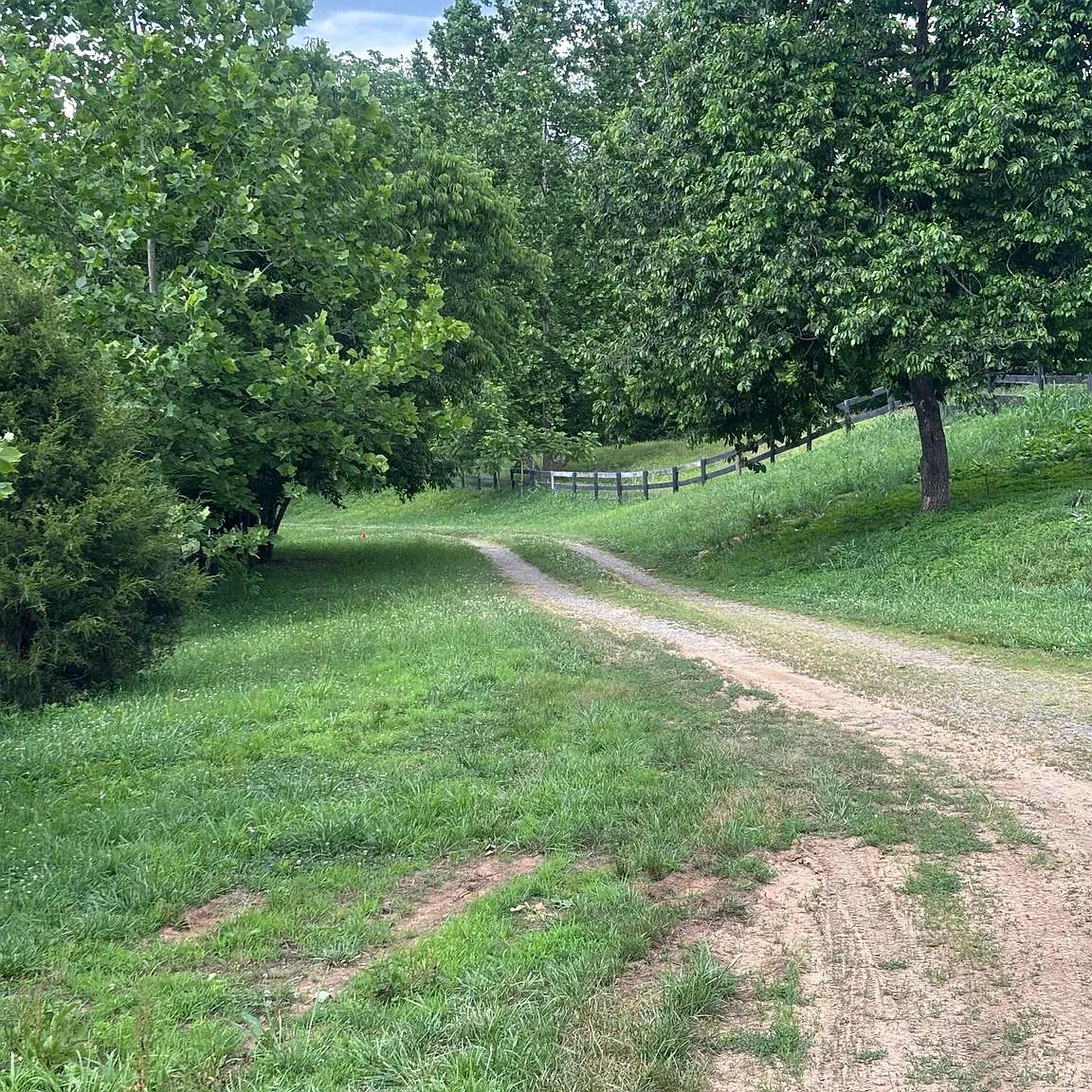 1 bed, $2,800 — Photo 2