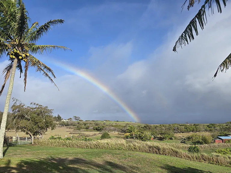 Akoni Pule Hwy — Photo 1