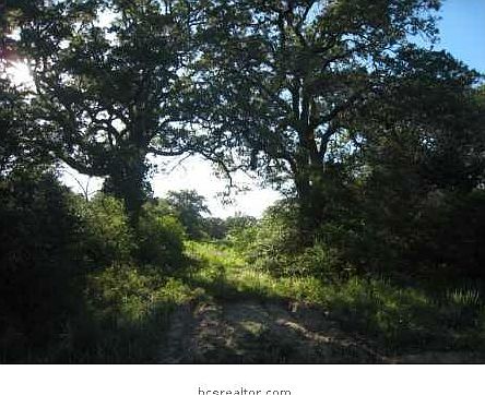 2nd image of 0 White Tail Trl