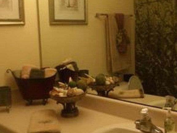 4th image of 529 Brewster Ln