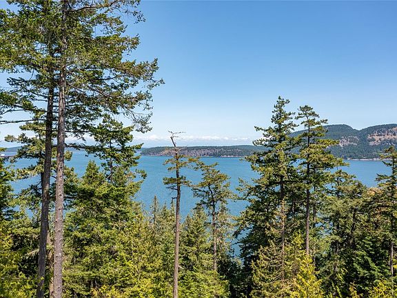 5th image of 9825 Canal Rd