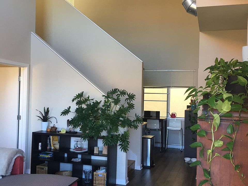 Airy flow from living room to kitchen